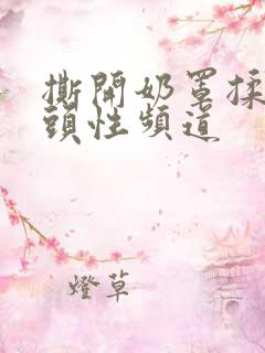 撕开奶罩揉吮奶头性频道