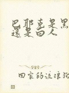 巴耶克是黑人吗还是白人