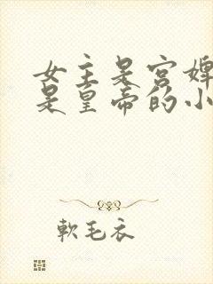 女主是宫婢男主是皇帝的小说