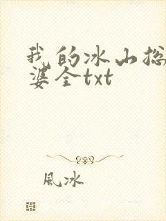 我的冰山总裁老婆全txt