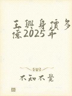 王兴身价多少个亿2025年