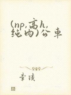 (np,高h,纯肉)公车