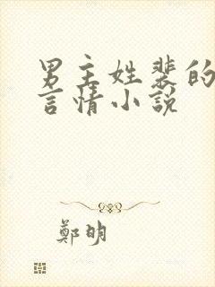 男主姓裴的现代言情小说