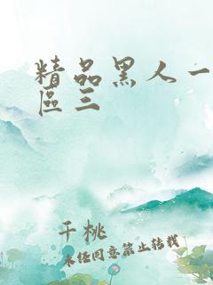精品黑人一区二区三