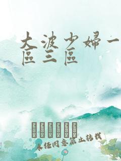 大波少妇一区二区三区