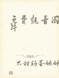 免费观看国内毛片