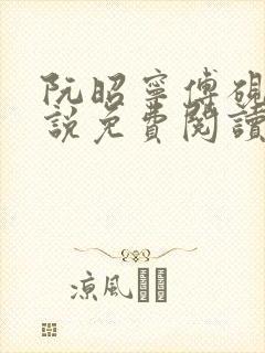 阮昭宁傅砚舟小说免费阅读最新章节