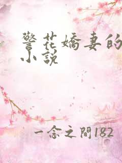 警花娇妻的蜕变小说