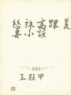 丝袜高跟美妇人妻小说