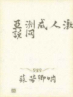 亚洲成人激情小说网