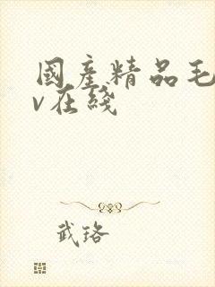 国产精品毛片av在线