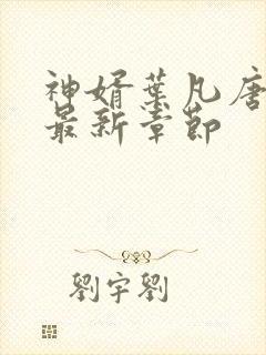 神婿叶凡唐若雪最新章节