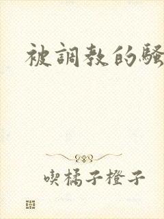 被调教的骚妈妈