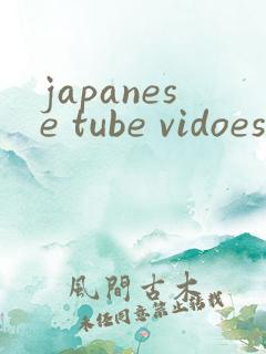 japanese tube vidoese
