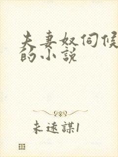 夫妻奴伺候主人的小说