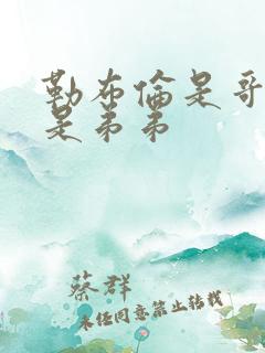 勒布伦是哥哥还是弟弟