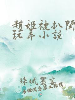 赵姬被扒开双腿玩弄小说