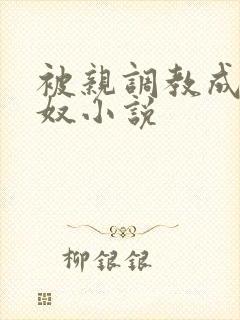被亲调教成她的奴小说