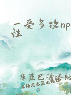 一受多攻np双性