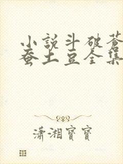 小说斗破苍穹天蚕土豆全集