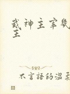 武神主宰几个女主