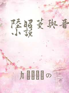 陆昭菱与晋王的小说