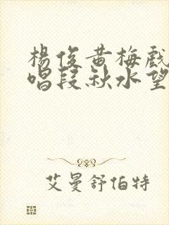 杨俊黄梅戏精彩唱段秋水望穿