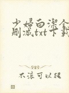 少妇白洁全文无删减txt下载