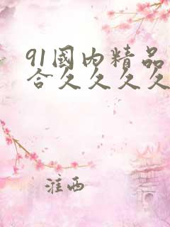 91国内精品综合久久久久精品一本