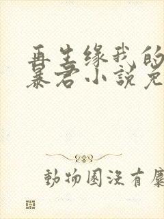 再生缘我的温柔暴君小说免费阅读