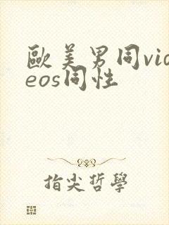 欧美男同videos同性