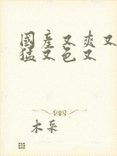 国产又爽又粗又猛又色又