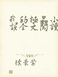 我的极品小姨小说全文阅读免费