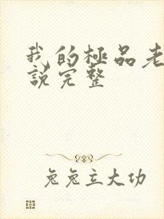 我的极品老婆小说完整