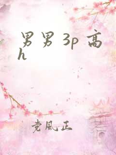 男男 3p 高h
