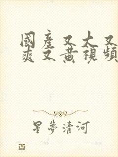 国产又大又猛又爽又黄视频