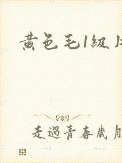 黄色毛1级片