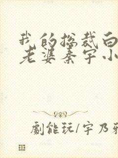 我的总裁白富美老婆秦宇小说正版