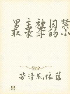 男主被囚禁被强取豪夺的小说