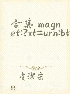 合集 magnet:?xt=urn:btih