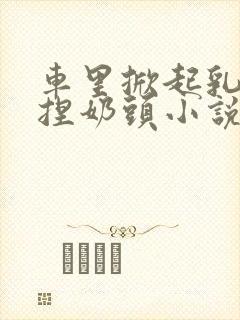 车里掀起乳罩揉捏奶头小说