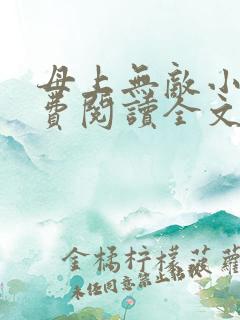 母上无敌小说免费阅读全文最新章节