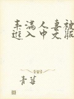 丰满人妻被猛烈进入中文版