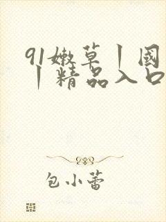 91嫩草丨国产丨精品入口在线观看