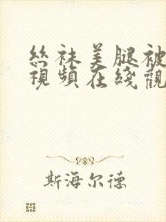 丝袜美腿被调教视频在线观看