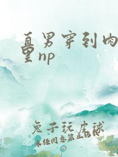 直男穿到肉欲文里np