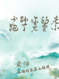 少帅你的老婆又跑了免费小说