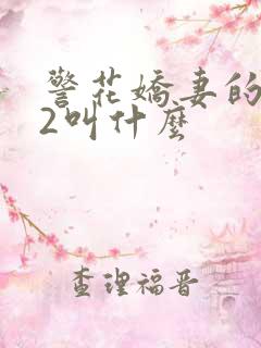 警花娇妻的蜕变2叫什么