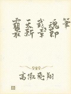 霸天武魂笔趣阁最新章节