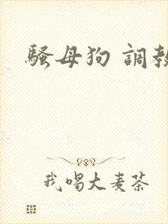 骚母狗 调教